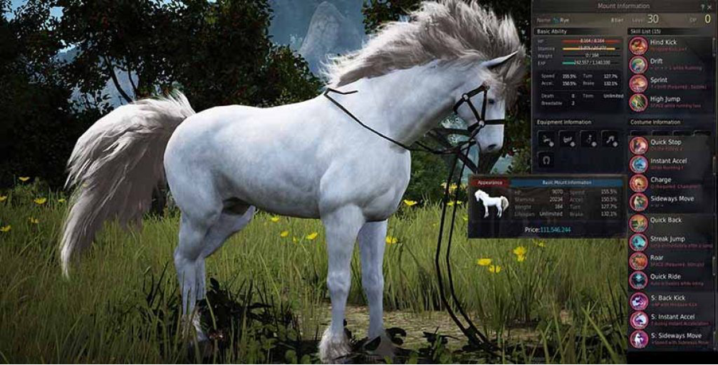 Black Desert Online Silver Breeding